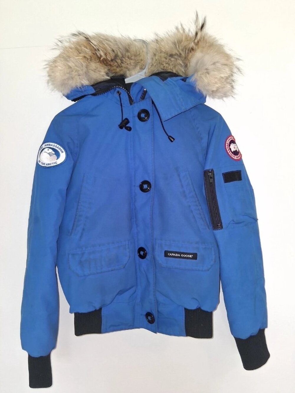 Canada Goose Chilliwack PBI Down Bomber Jacket Real Coyote Fur Blue Womens XS